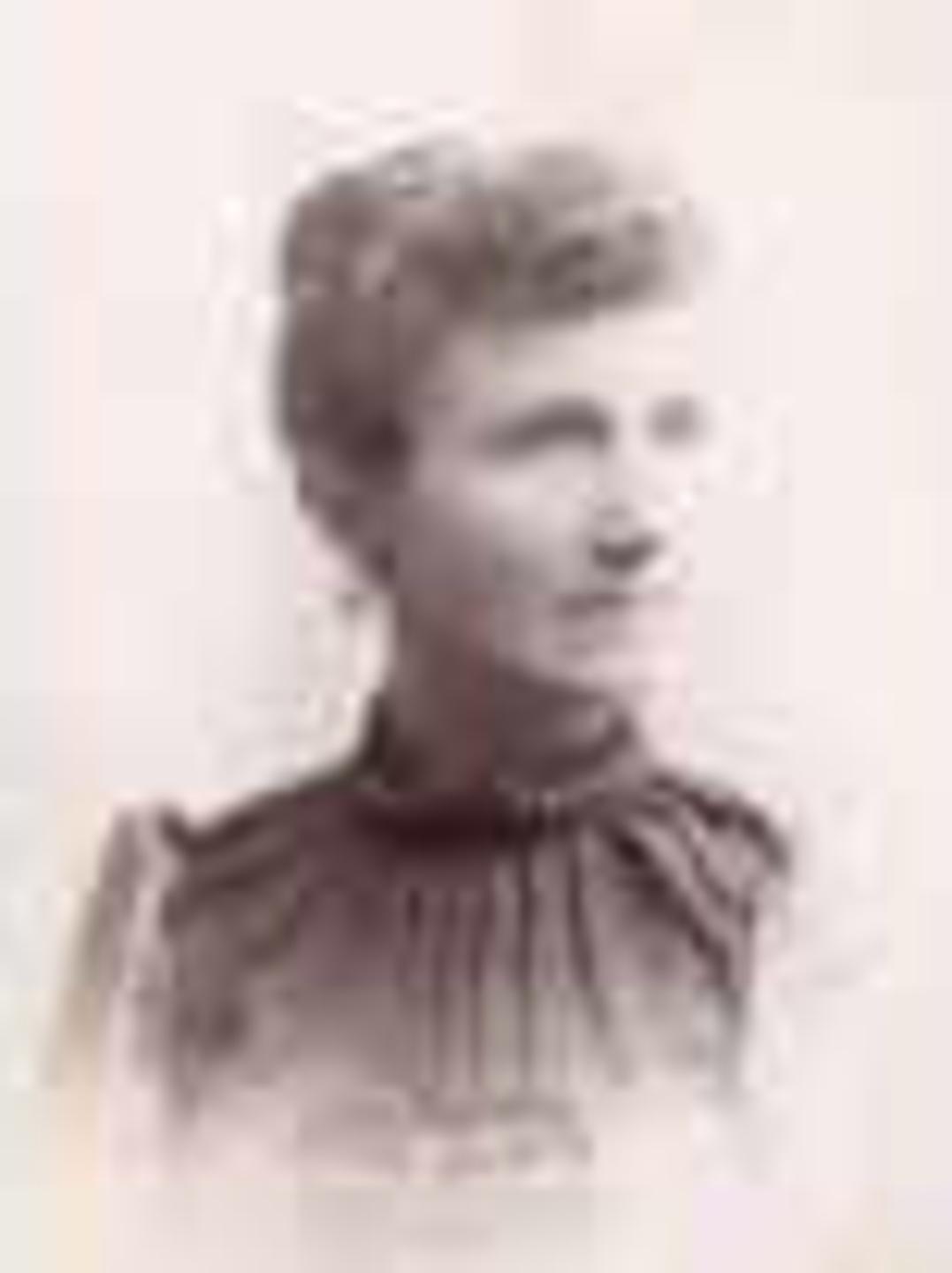 Sarah Jane Birdno (1850 - 1926) Profile